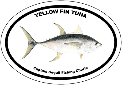 Bumper Sticker Yellow Fin Tuna
